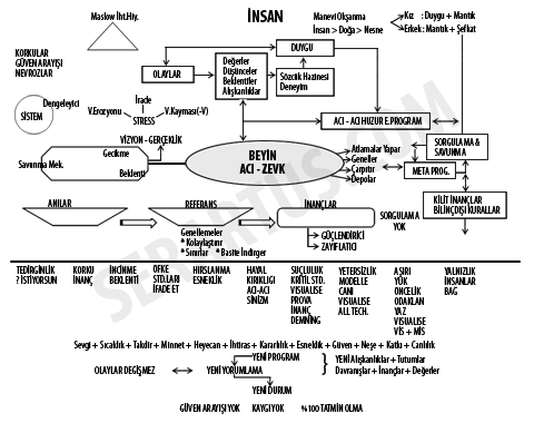 Davranış Programı